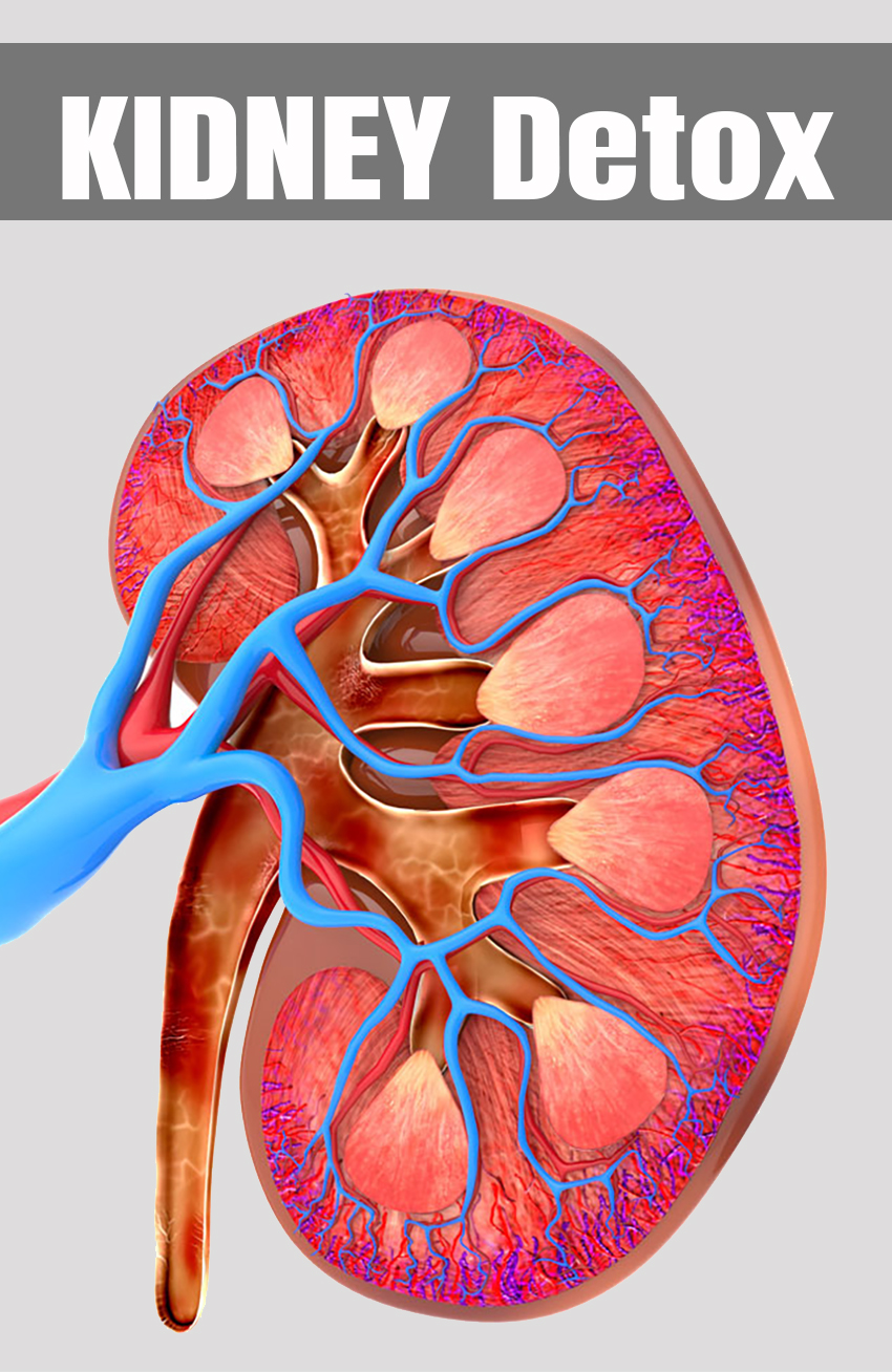 Kidney Detox